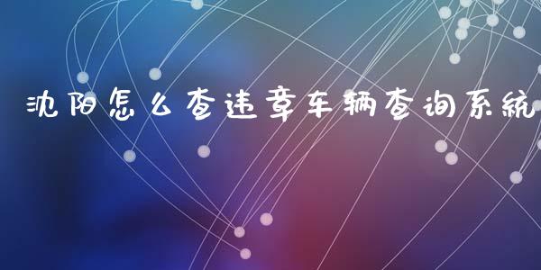 沈阳怎么查违章车辆查询系统_https://cj.lansai.wang_保险问答_第1张