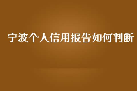 宁波个人信用报告如何判断_https://cj.lansai.wang_金融问答_第1张