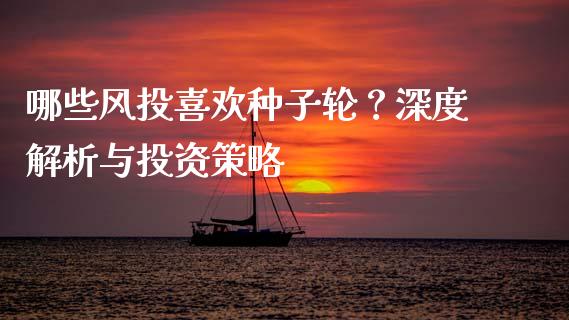 哪些风投喜欢种子轮？深度解析与投资策略_https://cj.lansai.wang_理财问答_第1张