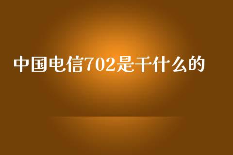 中国电信702是干什么的_https://cj.lansai.wang_期货问答_第1张