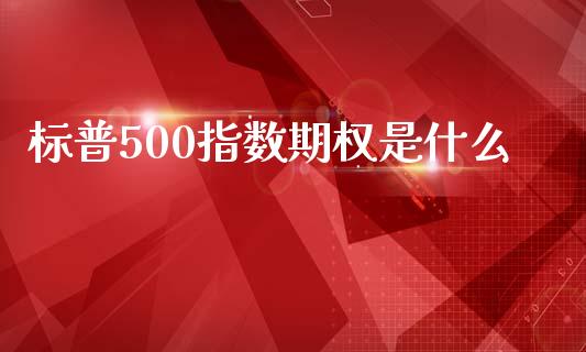 标普500指数期权是什么_https://cj.lansai.wang_期货问答_第1张