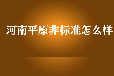 河南平原非标准怎么样_https://cj.lansai.wang_金融问答_第1张