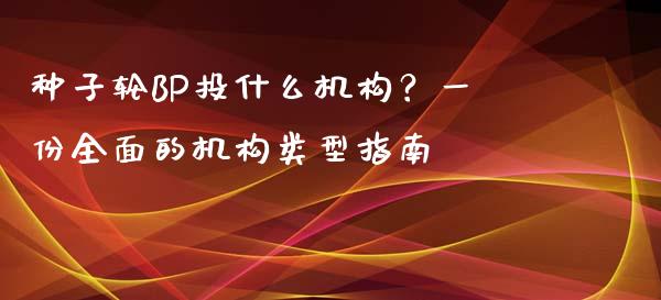 种子轮BP投什么机构？一份全面的机构类型指南_https://cj.lansai.wang_理财问答_第1张