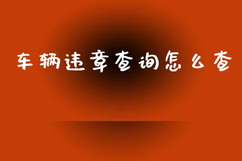 车辆违章查询怎么查_https://cj.lansai.wang_保险问答_第1张