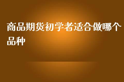 商品期货初学者适合做哪个品种_https://cj.lansai.wang_股市问答_第1张