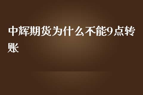 中辉期货为什么不能9点转账_https://cj.lansai.wang_理财问答_第1张