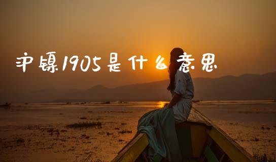 沪镍1905是什么意思_https://cj.lansai.wang_期货问答_第1张