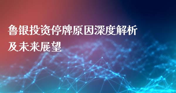 鲁银投资停牌原因深度解析及未来展望_https://cj.lansai.wang_理财问答_第1张