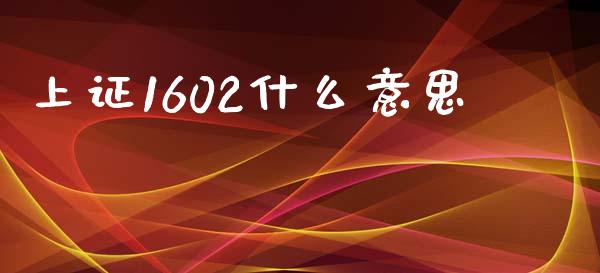 上证1602什么意思_https://cj.lansai.wang_股市问答_第1张