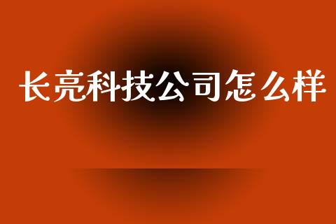 长亮科技公司怎么样_https://cj.lansai.wang_理财问答_第1张