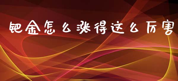 钯金怎么涨得这么厉害_https://cj.lansai.wang_期货问答_第1张