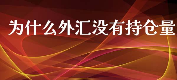 为什么外汇没有持仓量_https://cj.lansai.wang_理财问答_第1张