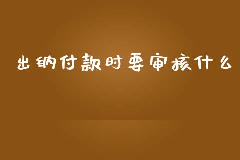 出纳付款时要审核什么_https://cj.lansai.wang_会计问答_第1张