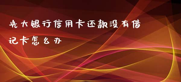 光大银行信用卡还款没有借记卡怎么办_https://cj.lansai.wang_金融问答_第1张