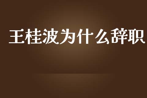 王桂波为什么辞职_https://cj.lansai.wang_理财问答_第1张