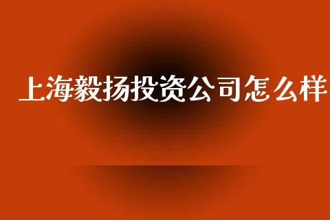 上海毅扬投资公司怎么样_https://cj.lansai.wang_理财问答_第1张