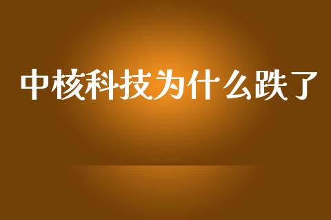 中核科技为什么跌了_https://cj.lansai.wang_财经百问_第1张