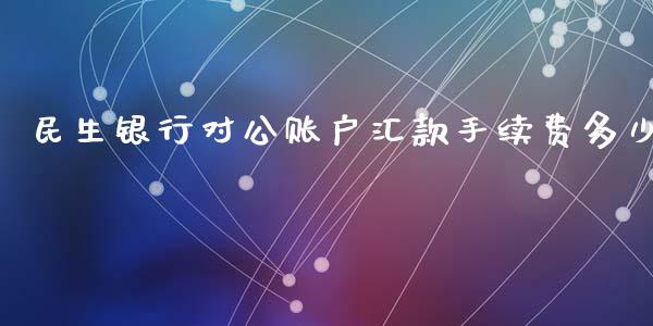 民生银行对公账户汇款手续费多少_https://cj.lansai.wang_理财问答_第1张