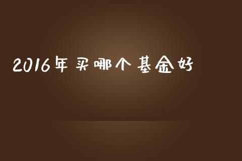 2016年买哪个基金好_https://cj.lansai.wang_期货问答_第1张