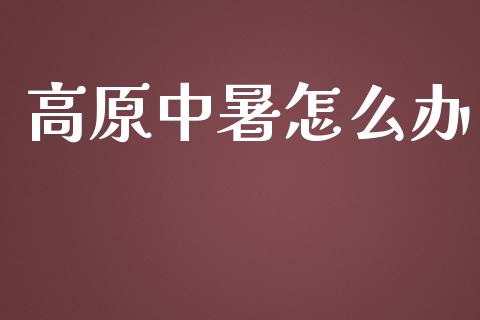 高原中暑怎么办_https://cj.lansai.wang_保险问答_第1张