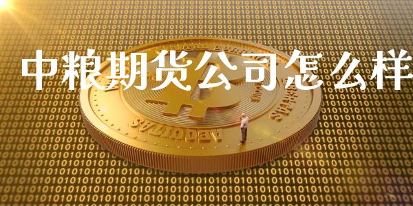 中粮期货公司怎么样_https://cj.lansai.wang_期货问答_第1张