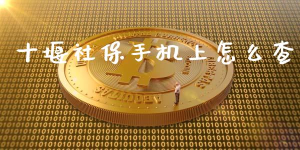 十堰社保手机上怎么查_https://cj.lansai.wang_保险问答_第1张