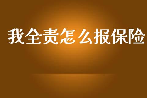 我全责怎么报保险_https://cj.lansai.wang_保险问答_第1张