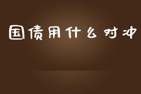 国债用什么对冲_https://cj.lansai.wang_会计问答_第1张