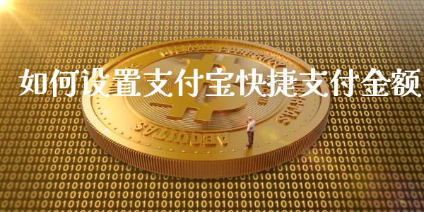 如何设置支付宝快捷支付金额_https://cj.lansai.wang_理财问答_第1张