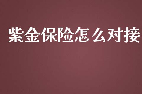 紫金保险怎么对接_https://cj.lansai.wang_保险问答_第1张