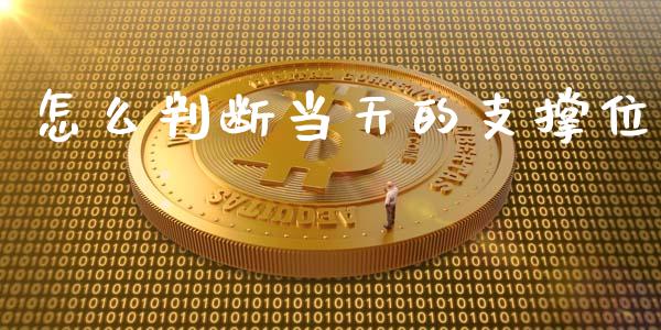 怎么判断当天的支撑位_https://cj.lansai.wang_财经问答_第1张