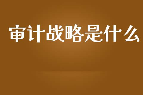 审计战略是什么_https://cj.lansai.wang_会计问答_第1张