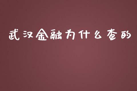 武汉金融为什么查的_https://cj.lansai.wang_理财问答_第1张