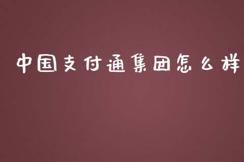 中国支付通集团怎么样_https://cj.lansai.wang_财经问答_第1张