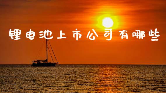 锂电池上市公司有哪些_https://cj.lansai.wang_财经百问_第1张