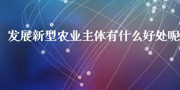 发展新型农业主体有什么好处呢_https://cj.lansai.wang_期货问答_第1张