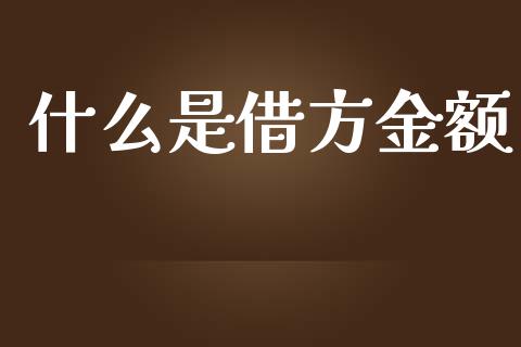 什么是借方金额_https://cj.lansai.wang_会计问答_第1张