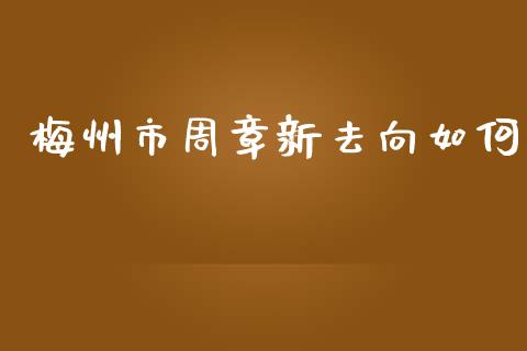 梅州市周章新去向如何_https://cj.lansai.wang_金融问答_第1张