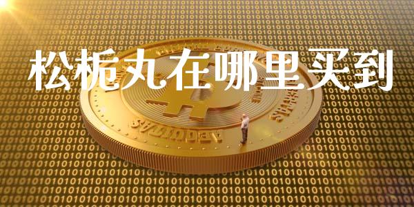 松栀丸在哪里买到_https://cj.lansai.wang_理财问答_第1张