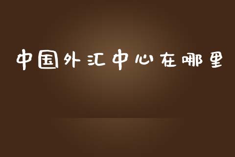 中国外汇中心在哪里_https://cj.lansai.wang_财经问答_第1张