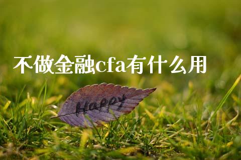 不做金融cfa有什么用_https://cj.lansai.wang_会计问答_第1张