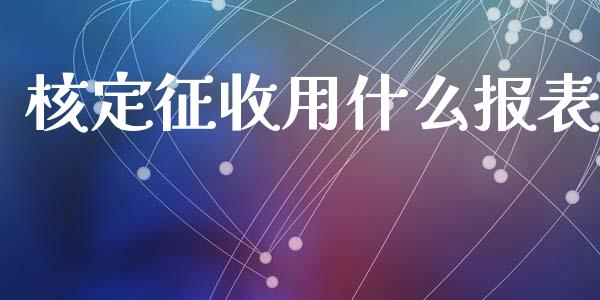 核定征收用什么报表_https://cj.lansai.wang_会计问答_第1张