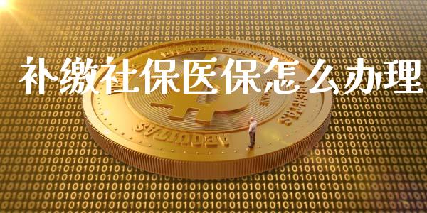 补缴社保医保怎么办理_https://cj.lansai.wang_保险问答_第1张