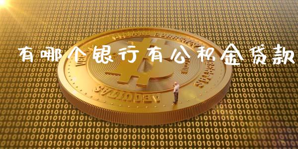 有哪个银行有公积金贷款_https://cj.lansai.wang_理财问答_第1张