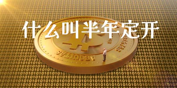 什么叫半年定开_https://cj.lansai.wang_金融问答_第1张