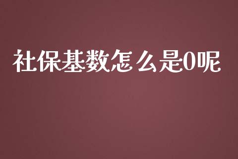 社保基数怎么是0呢_https://cj.lansai.wang_保险问答_第1张