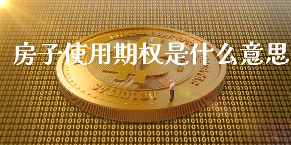 房子使用期权是什么意思_https://cj.lansai.wang_理财问答_第1张