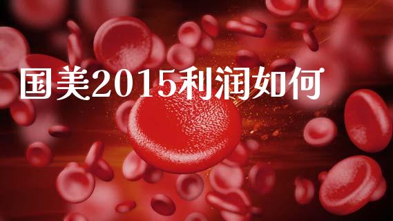 国美2015利润如何_https://cj.lansai.wang_理财问答_第1张