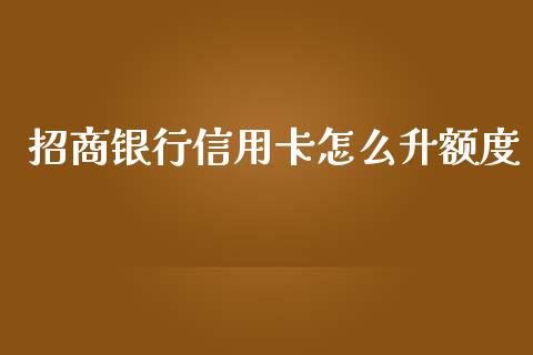 招商银行信用卡怎么升额度_https://cj.lansai.wang_金融问答_第1张