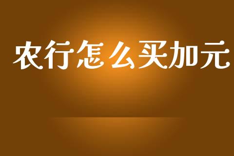 农行怎么买加元_https://cj.lansai.wang_财经问答_第1张